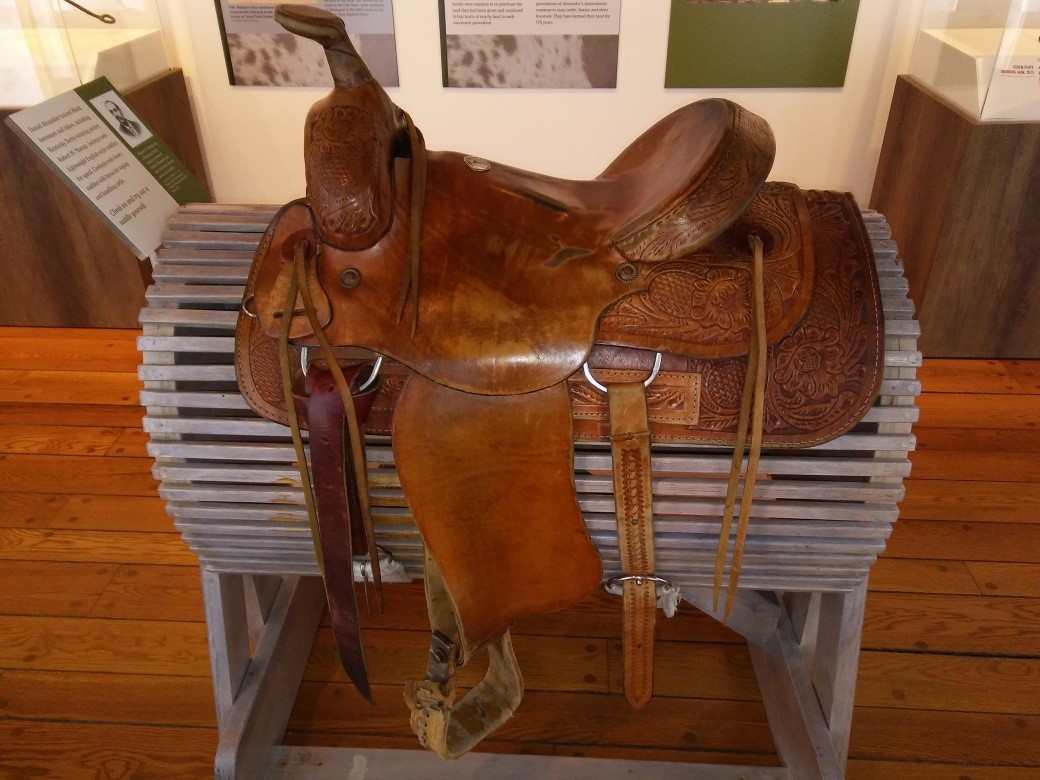 History of Black cowboys told in new exhibit at San Antonio's Witte Museum